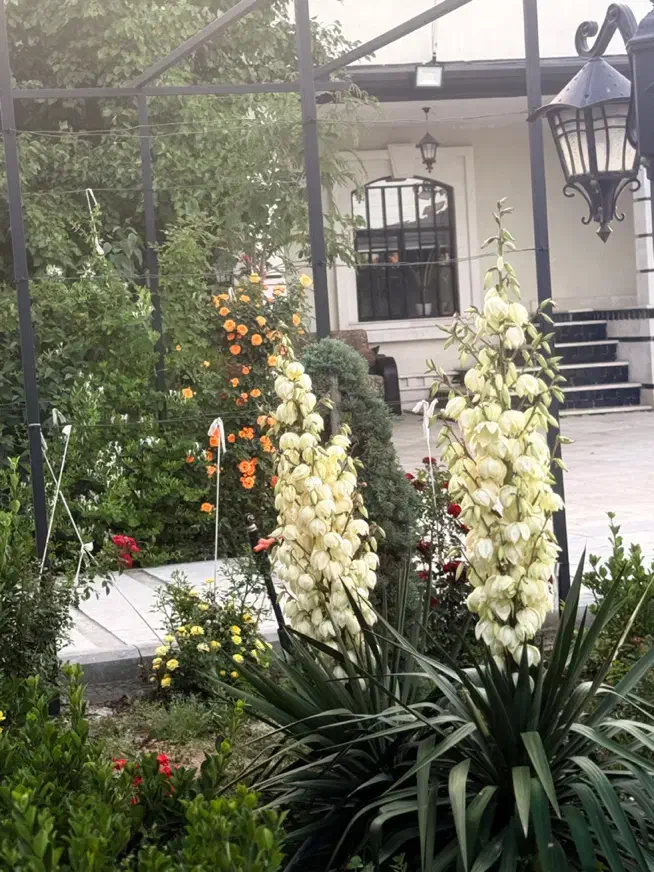 اجاره ویلادوطبقه با استخر سرپوشیده آبگرم امامزاده|اجارهٔ کوتاه‌مدت ویلا و باغ|ارومیه, |دیوار