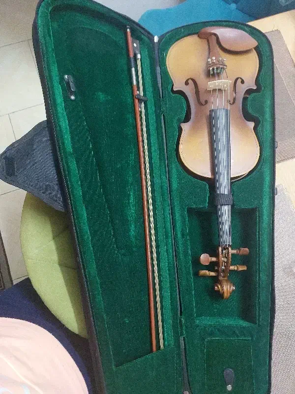 ویالون طبق عکس|ویولن|تهران, جمهوری|دیوار