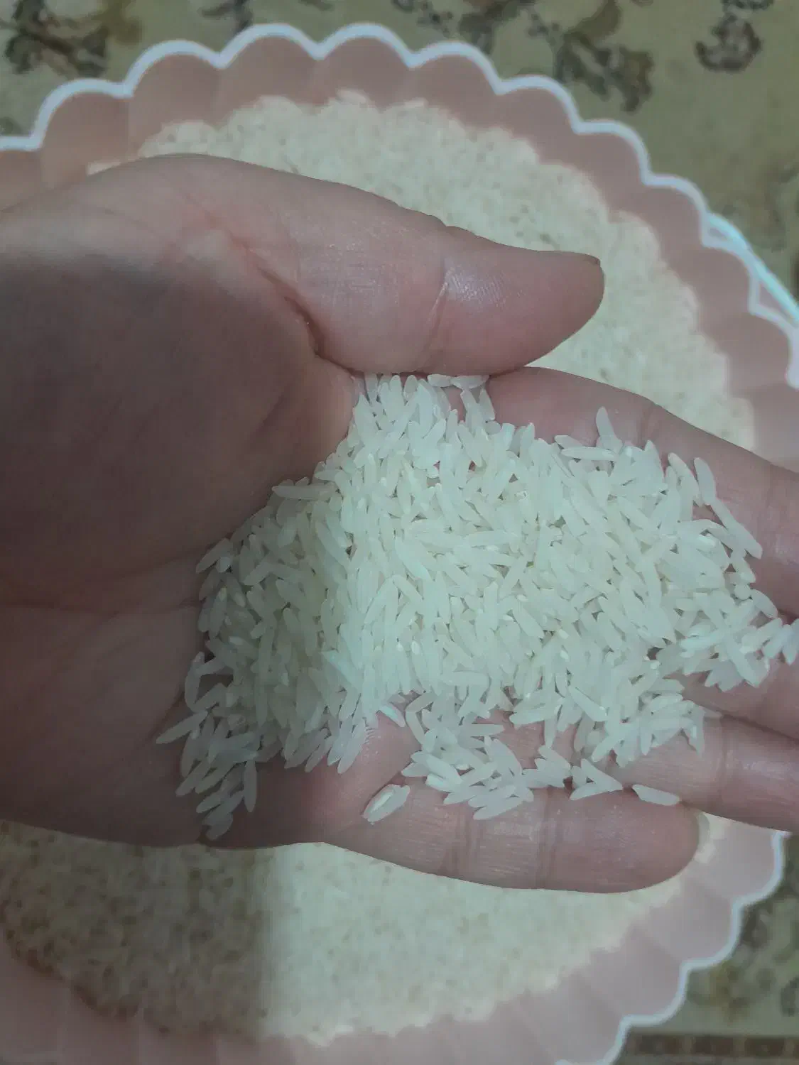 برنج محلی (فجر و طارم و ندا ) هر کدام یک تن موجوده|خوردنی و آشامیدنی|گرگان, |دیوار