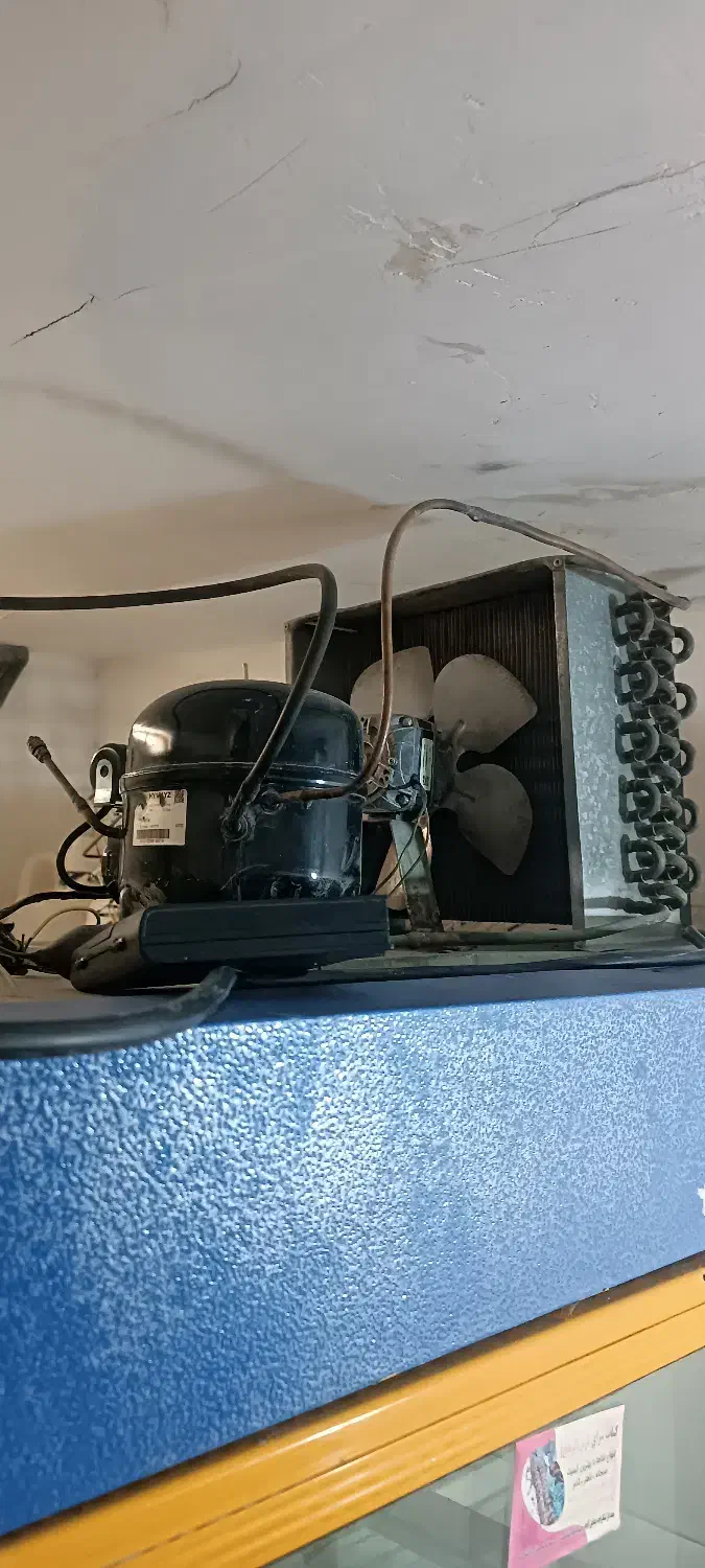 یخچال مغازه|فروشگاه و مغازه|گالیکش, |دیوار