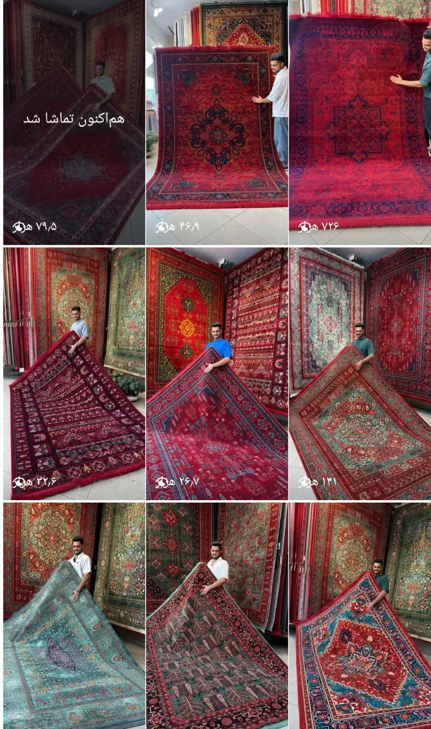 خرید سهام کارخانه فرش و قالیچه ارزان‌ترین فروشگاه|فرش|شوشتر, |دیوار