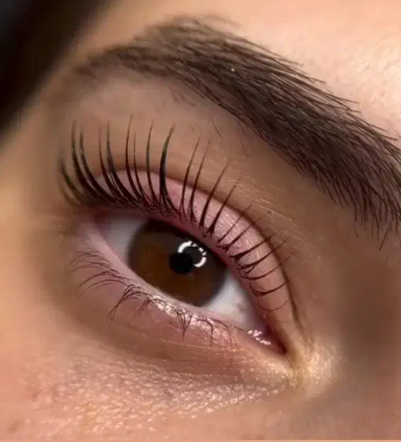 لیفت مژه و ابرو|خدمات آرایشگری و زیبایی|مشهد, سجادیه|دیوار