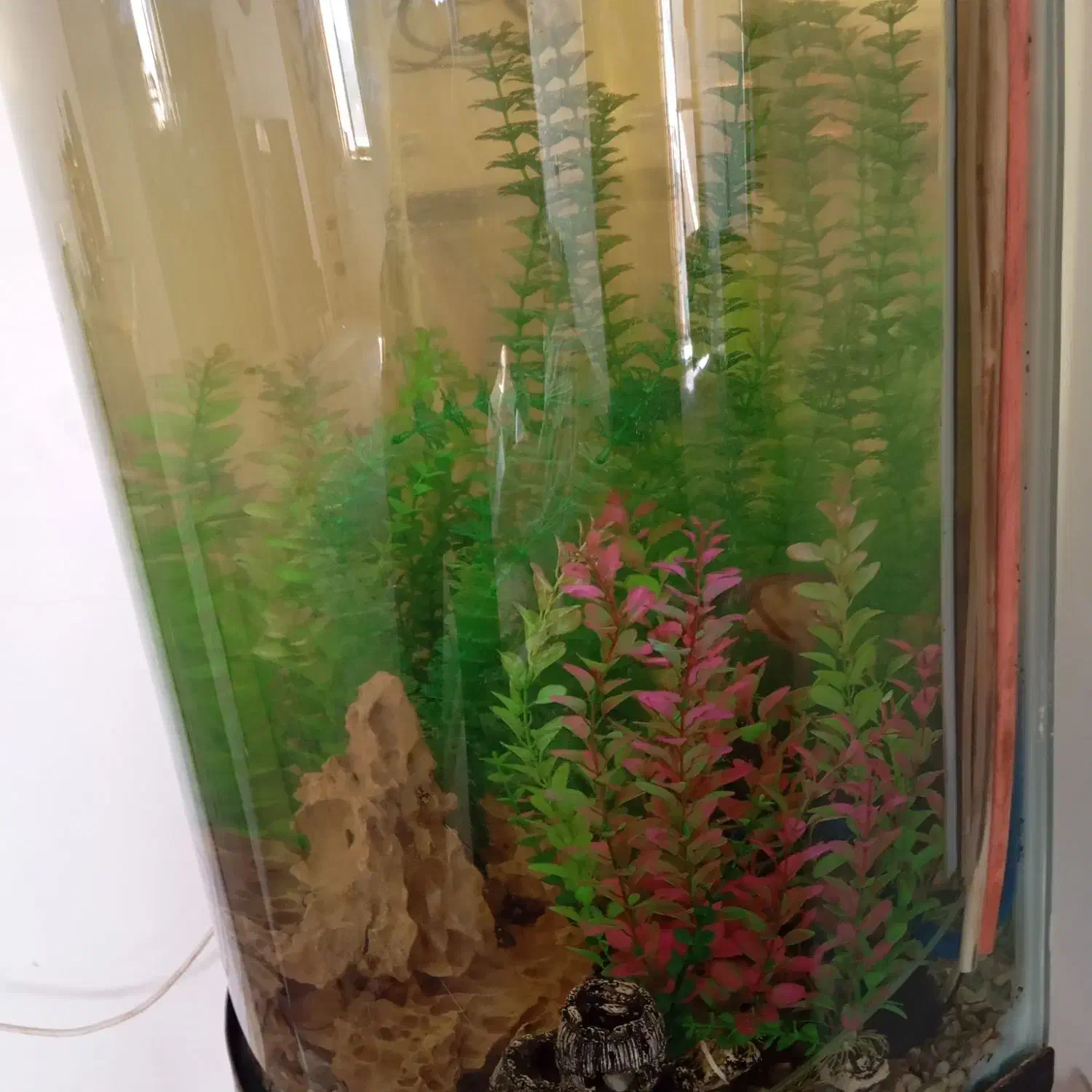 اکواریوم سایز بزرگ پایه فلز|ماهی|سیرجان, |دیوار