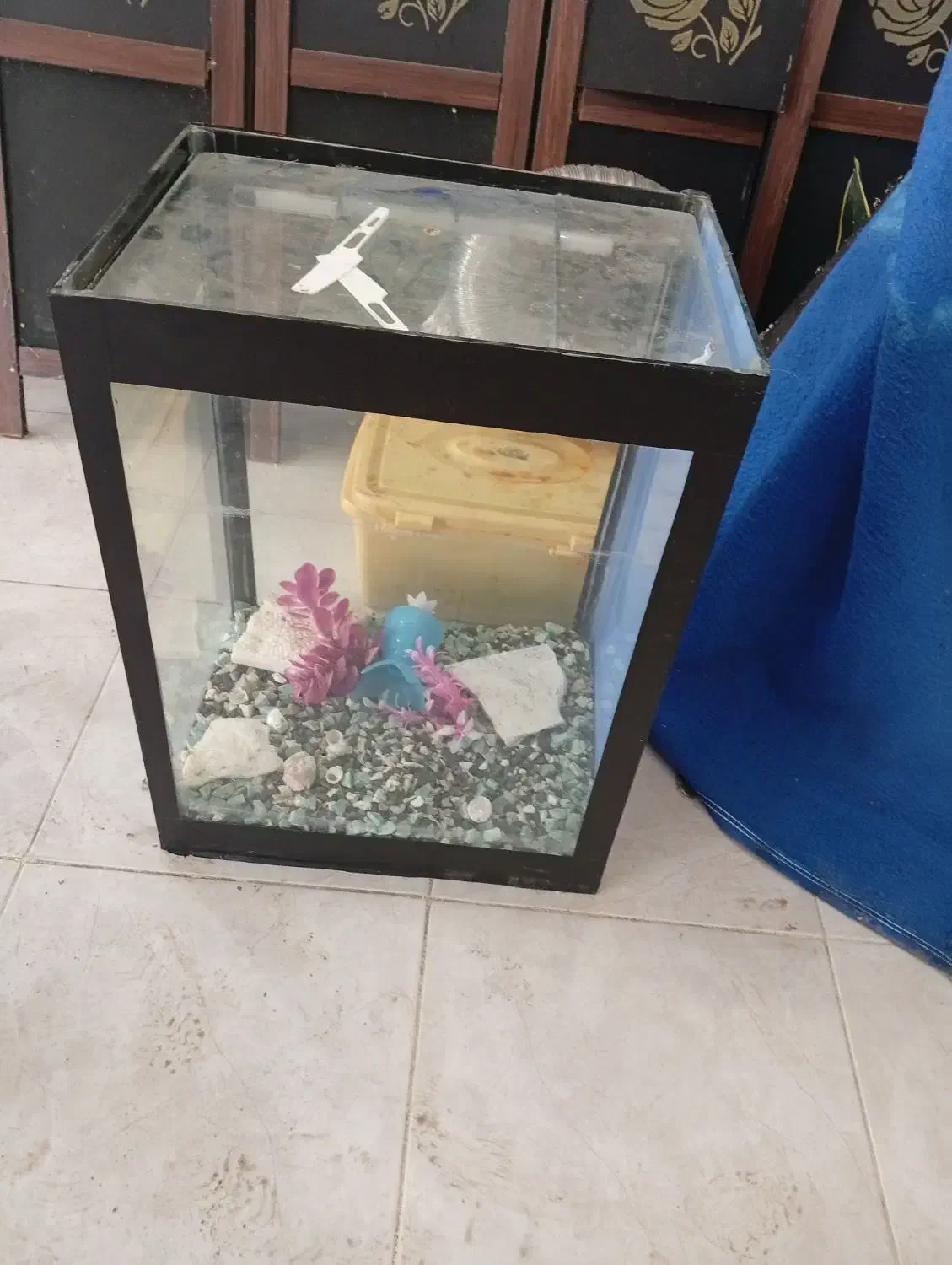 آکواریوم|لوازم جانبی حیوانات|بهشهر, |دیوار