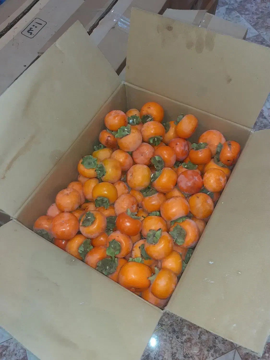 خرمالو درشت و متوسط|خوردنی و آشامیدنی|خلجستان, |دیوار