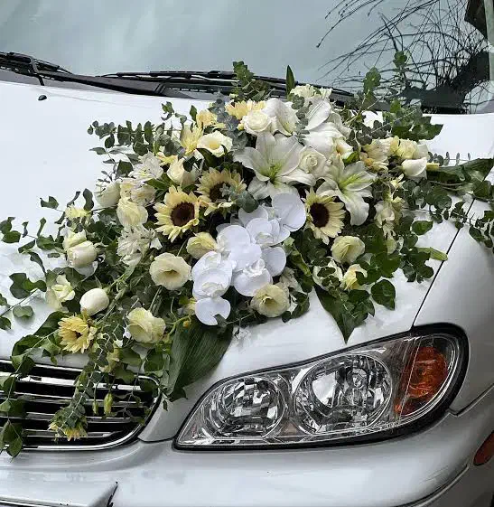 اجاره ماشین عروس با شرایطی آسان|خودرو اجاره‌ای|قزوین, |دیوار