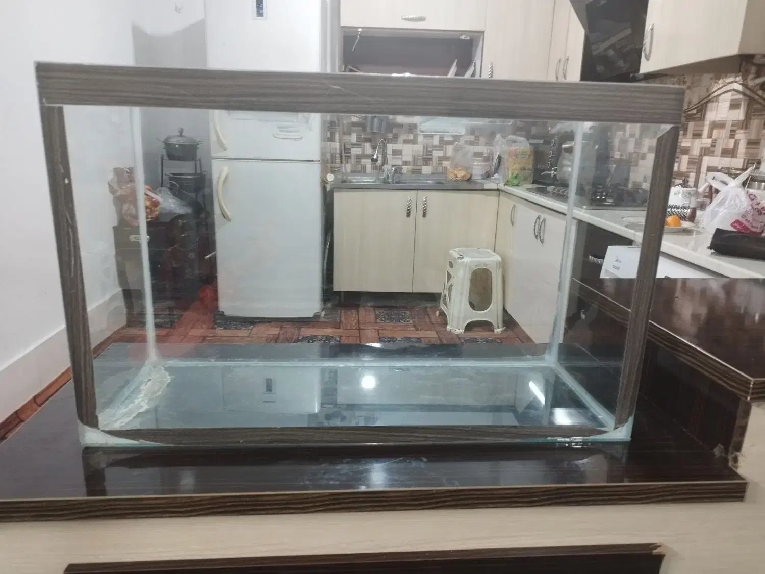 اکواریوم|ماهی|مشهد, تلگرد|دیوار