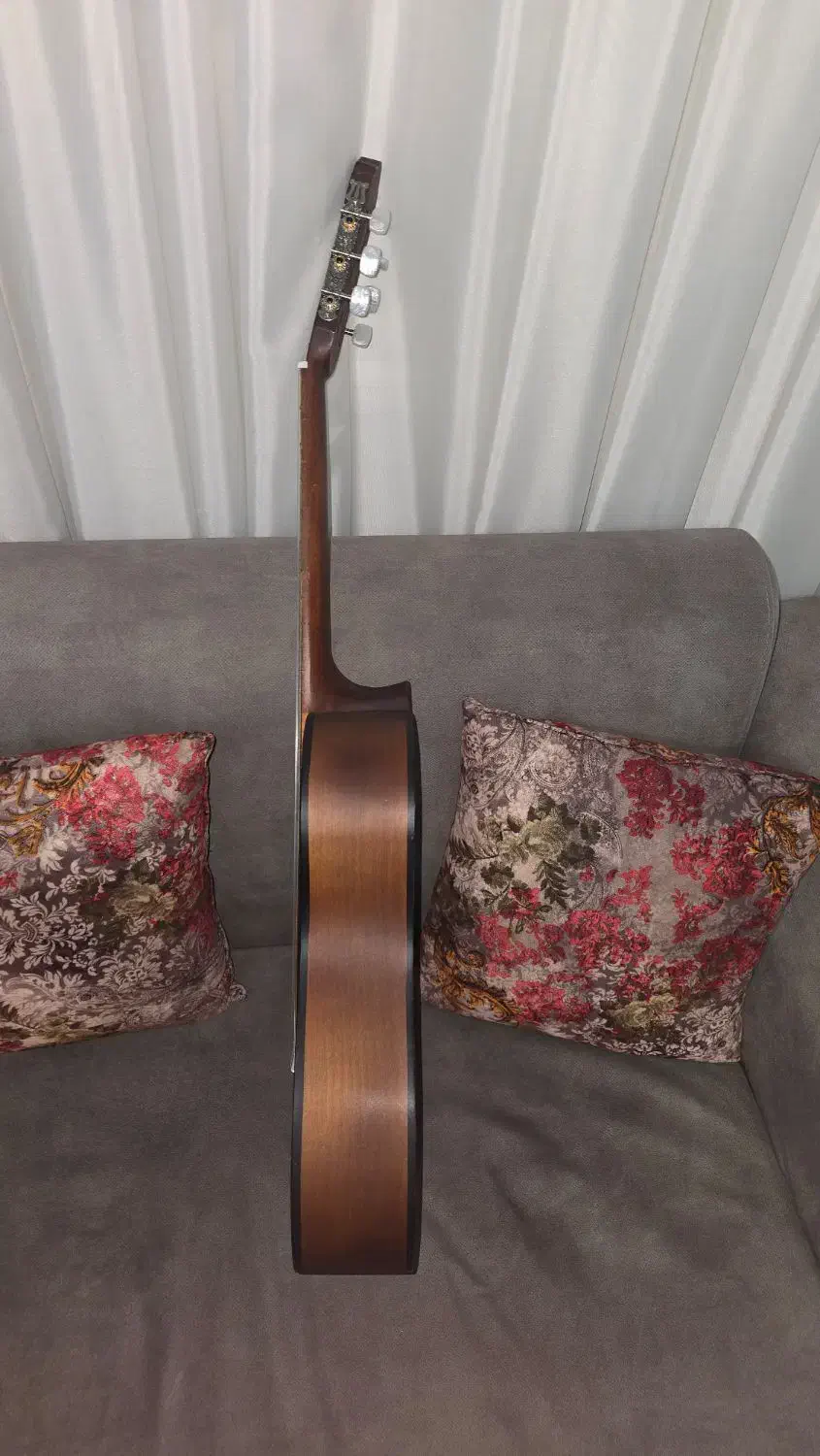 گیتار کلاسیک|گیتار، بیس، امپلیفایر|مشهد, فرهنگ|دیوار