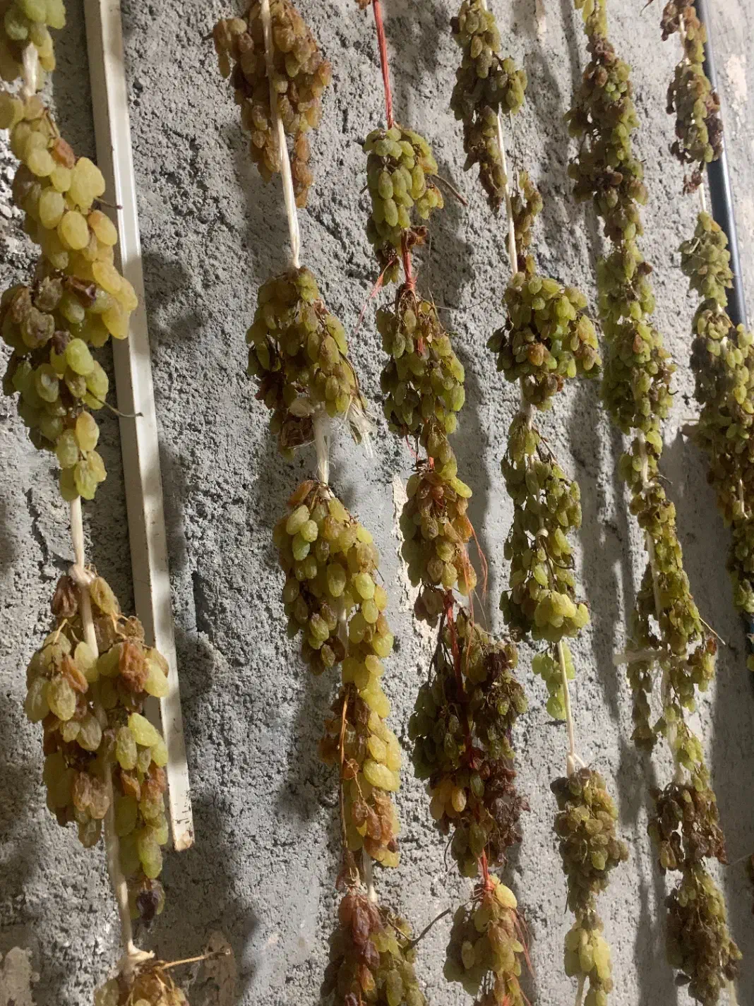 کشمش بندی بدون تیزاب امسالی|خوردنی و آشامیدنی|فرخشهر, |دیوار