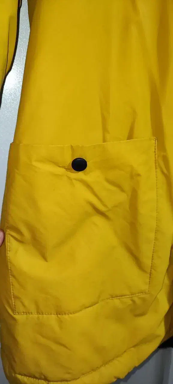 کاپشن بارانی خردلی زرد|لباس|تهران, درختی|دیوار