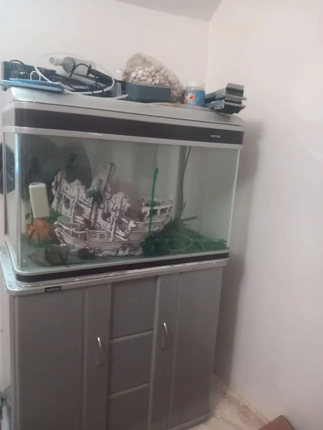 آکواریوم ماهی|ماهی|میانه, |دیوار