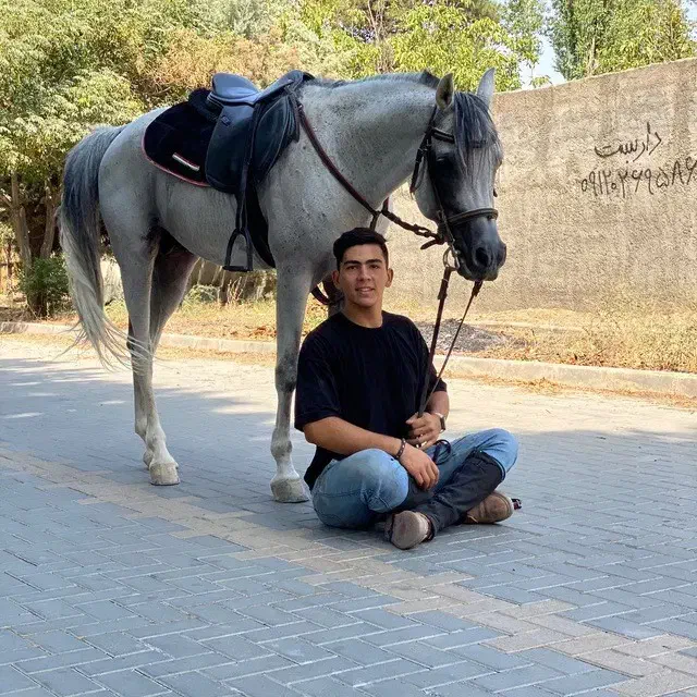 اسب باشگاه سوارکاری نعل|اسب و تجهیزات اسبسواری|کرج, شهرک جهان آرا|دیوار