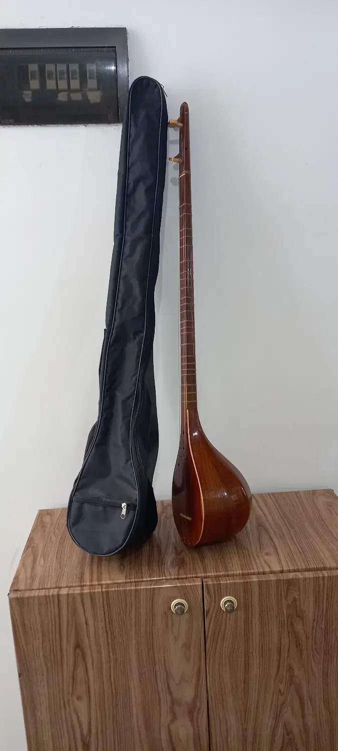 سه تار|سازهای سنتی|دهلران, |دیوار