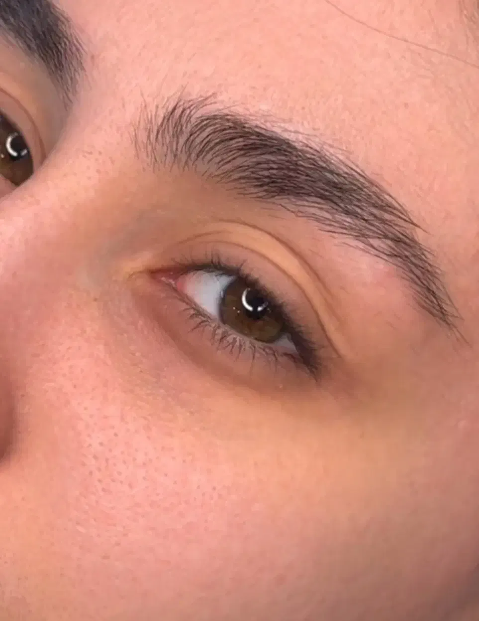 لیفت مژه و ابرو ( مدل )|خدمات آرایشگری و زیبایی|زابل, |دیوار