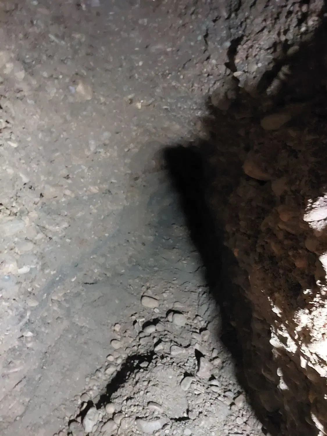 حفرچاه۶۰۰ریال چاه کن تخلیه چاه ریالی|خدمات پیشه و مهارت|فردیس, مجموعه کارخانه جات مپنا|دیوار