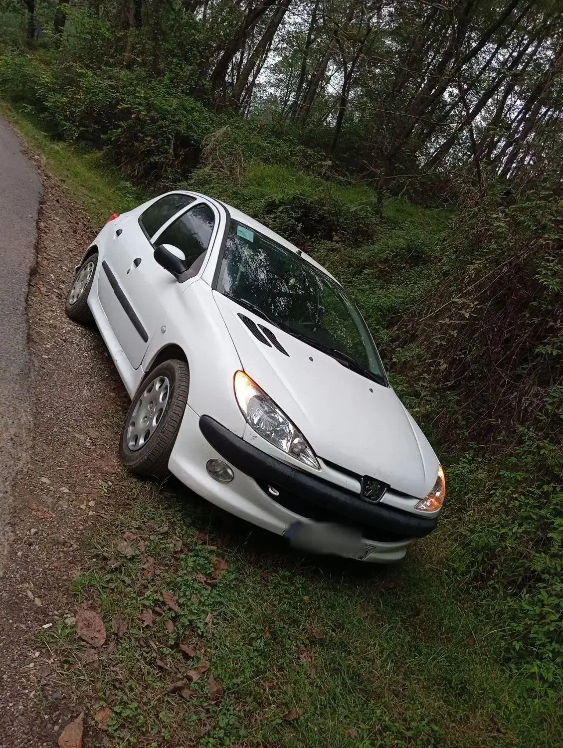 ۲۰۶|خودرو سواری و وانت|کرمان, |دیوار