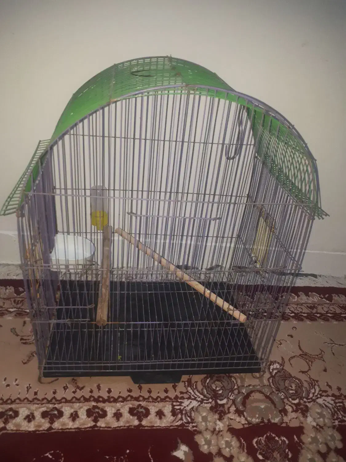 قفس|لوازم جانبی حیوانات|دزفول, |دیوار