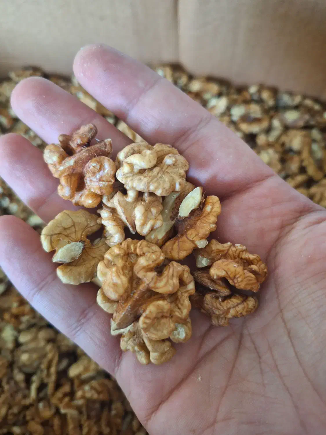 مغزگردوی ایرانی محلی|خوردنی و آشامیدنی|رشت, منظریه|دیوار