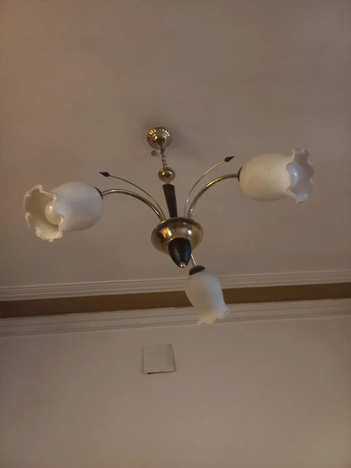 لوستر سه چراغ|لوستر و چراغ آویز|امیدیه, |دیوار