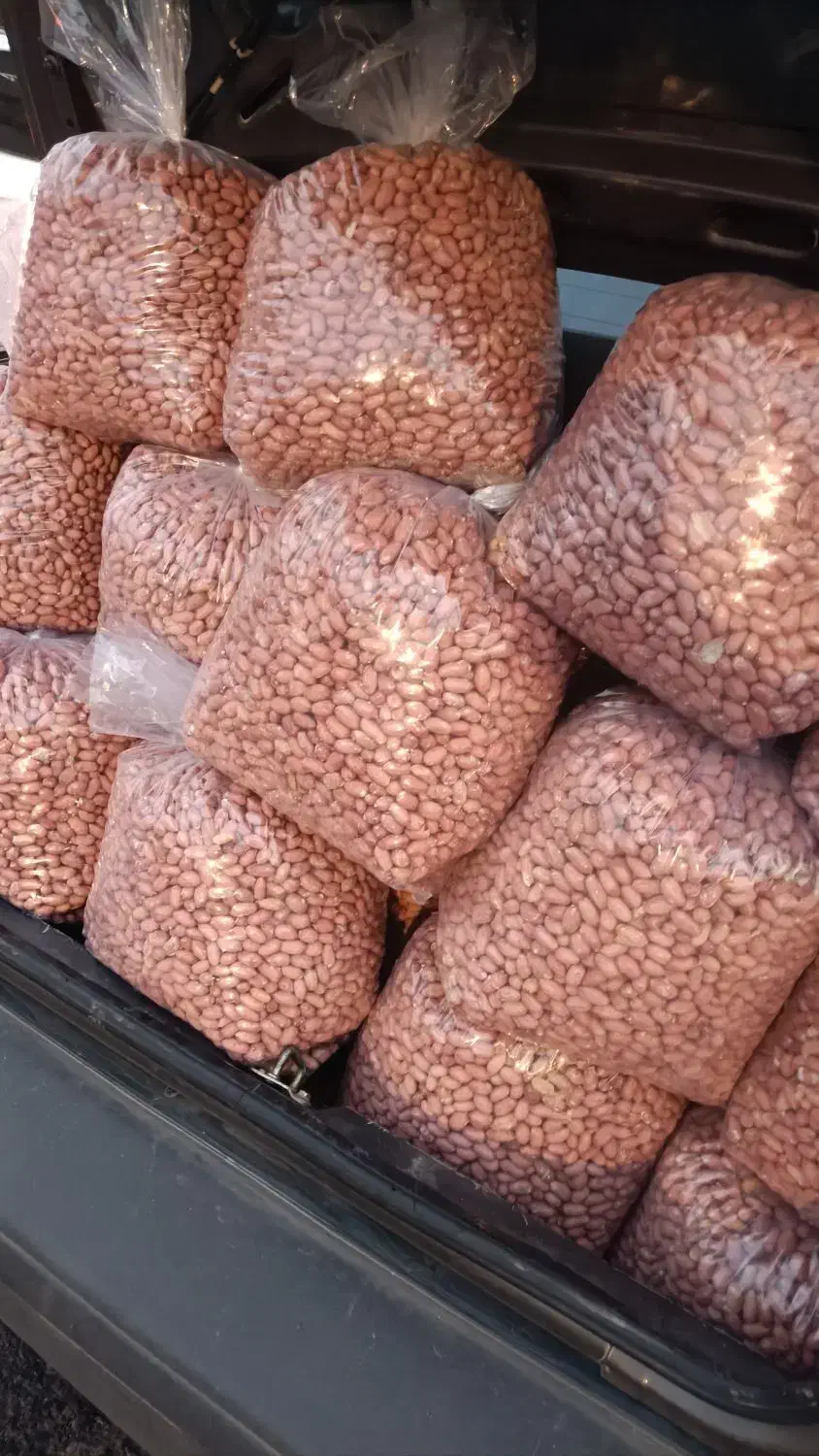 بادام زمینی ممتاز مغان|عمدهفروشی|پارسآباد, |دیوار