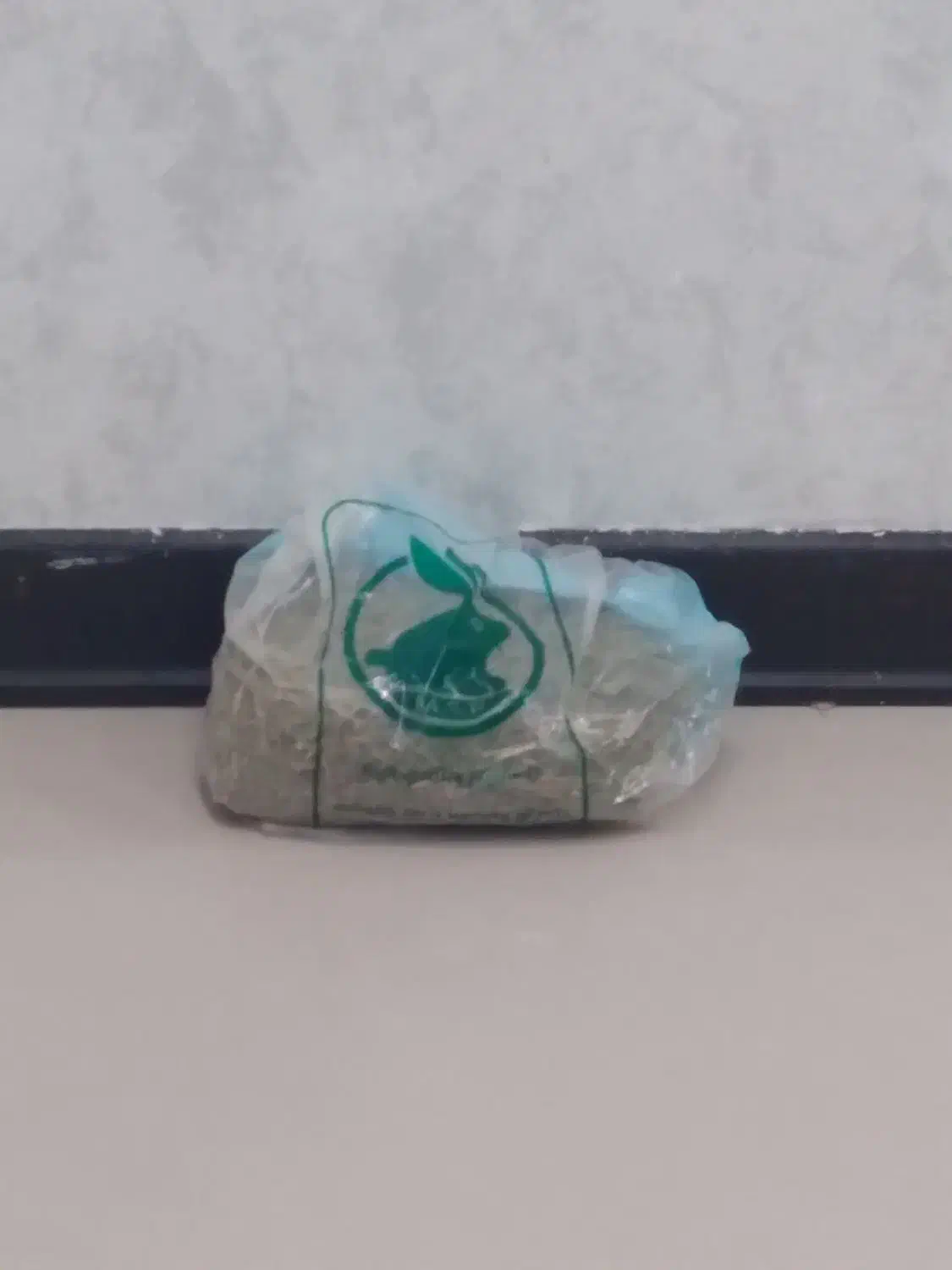 دو خرگوش|موش و خرگوش|اهواز, گلستان|دیوار