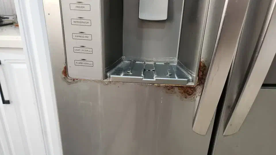 تعمیر پوسیدگی و تغییر رنگ|خدمات پیشه و مهارت|کهریزک, |دیوار