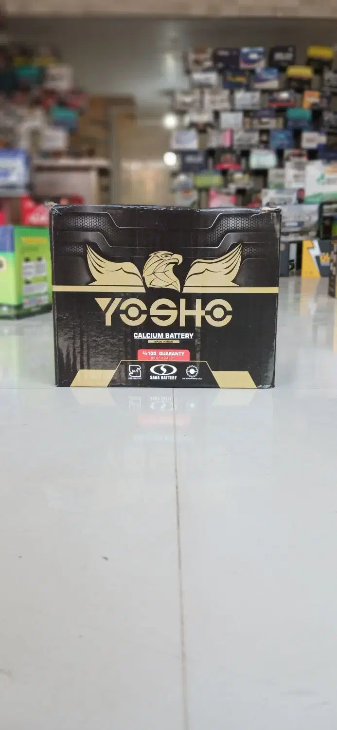 باطری خودرو/باطری ماشین|قطعات یدکی و لوازم جانبی|هشتگرد, تهران دشت|دیوار