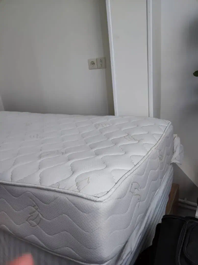 تشک رویا ۳|تشک تختخواب|کرمان, |دیوار