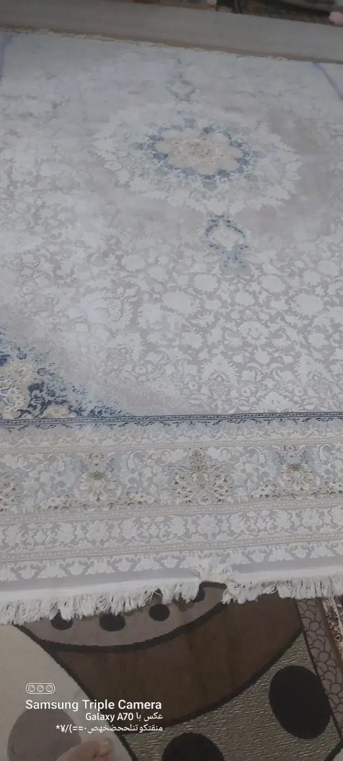 فروش ۵ عدد فرش۹ متری|فرش|شیراز, گویم|دیوار