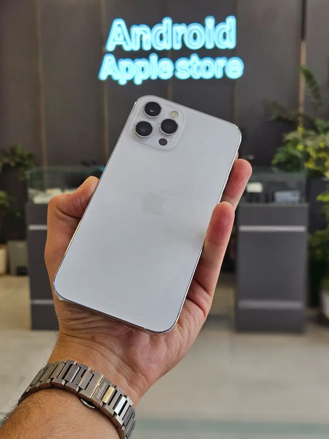 iphone 12 pro max کلکسیونی|موبایل|شیراز, قصرالدشت|دیوار