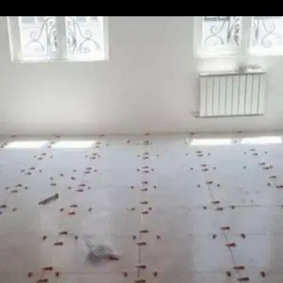 کاشی کاری ونما کاری کف وبدنه پذیرفته میشود|خدمات پیشه و مهارت|سوسنگرد, |دیوار