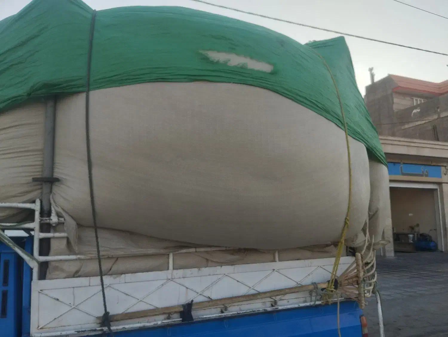 کاه گلرنگ|لوازم جانبی حیوانات|شیراز, نارنجستان|دیوار