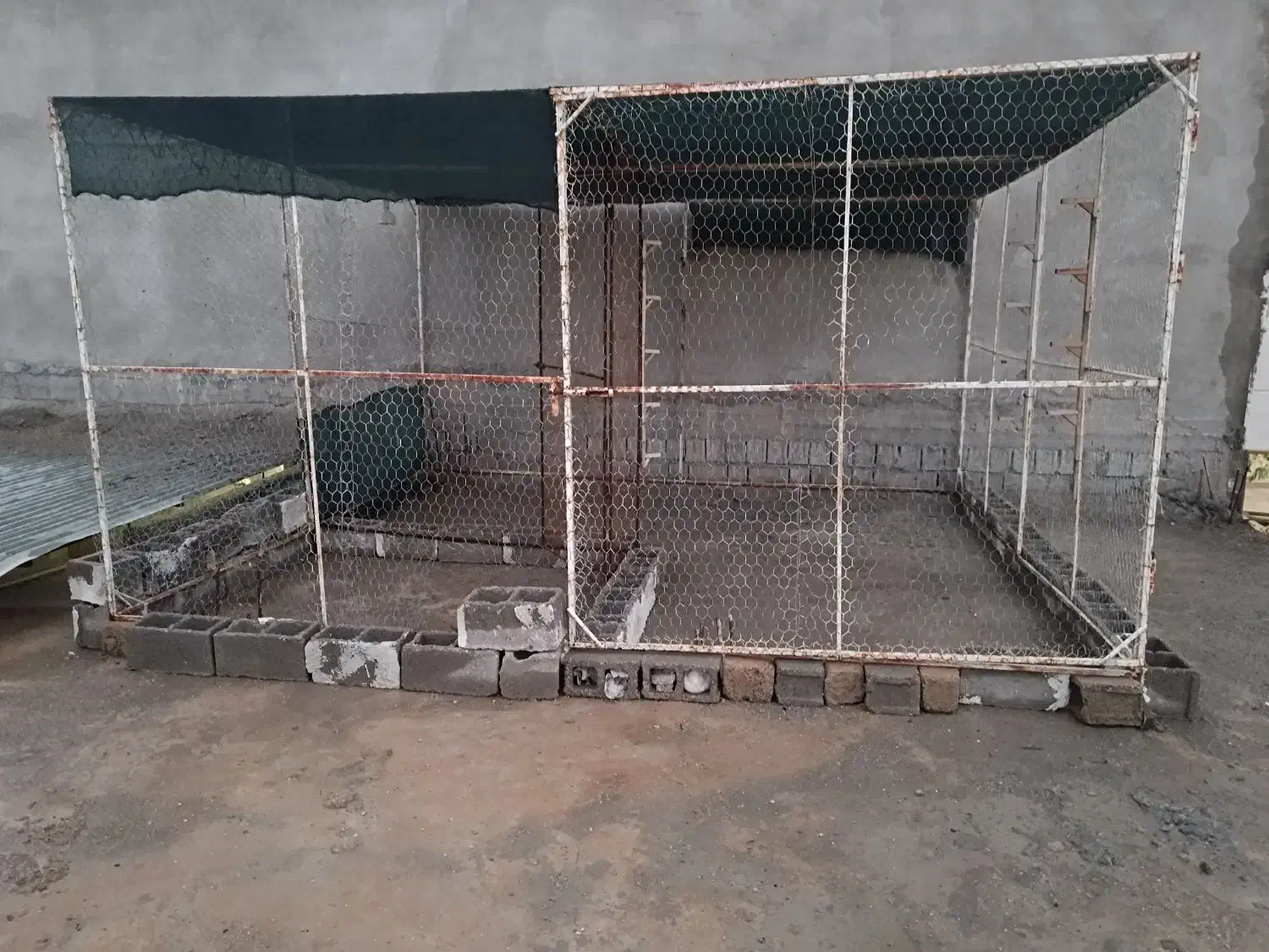 قفس|لوازم جانبی حیوانات|برازجان, |دیوار