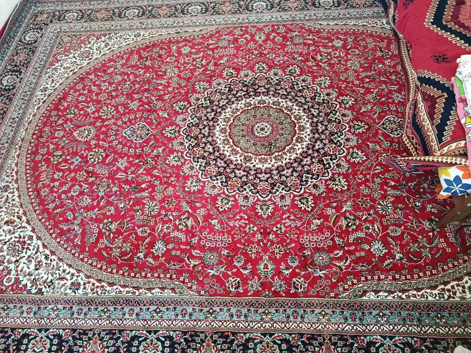 حدودی نو|فرش|مرودشت, بیست متری بیمارستان|دیوار