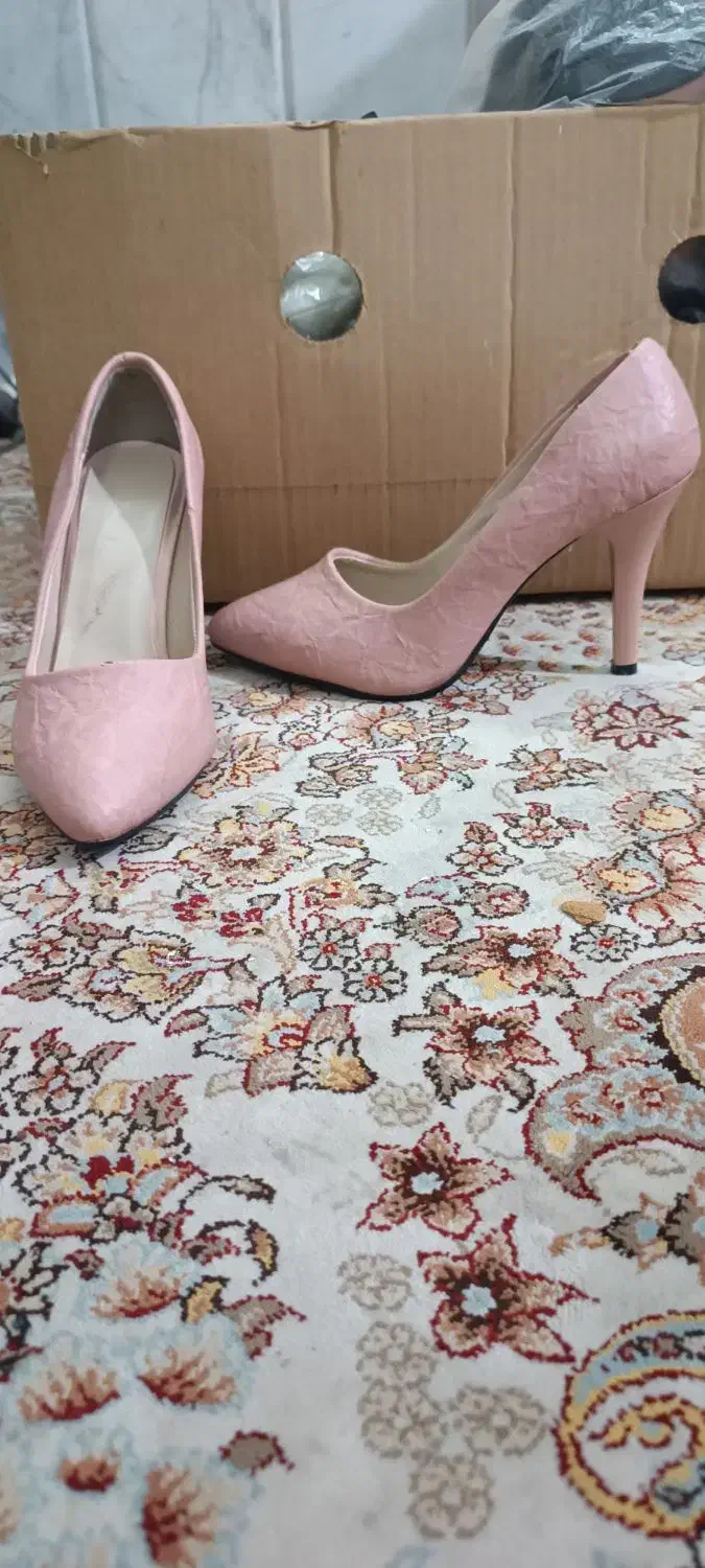 کفش|کیف، کفش، کمربند|زاهدان, |دیوار