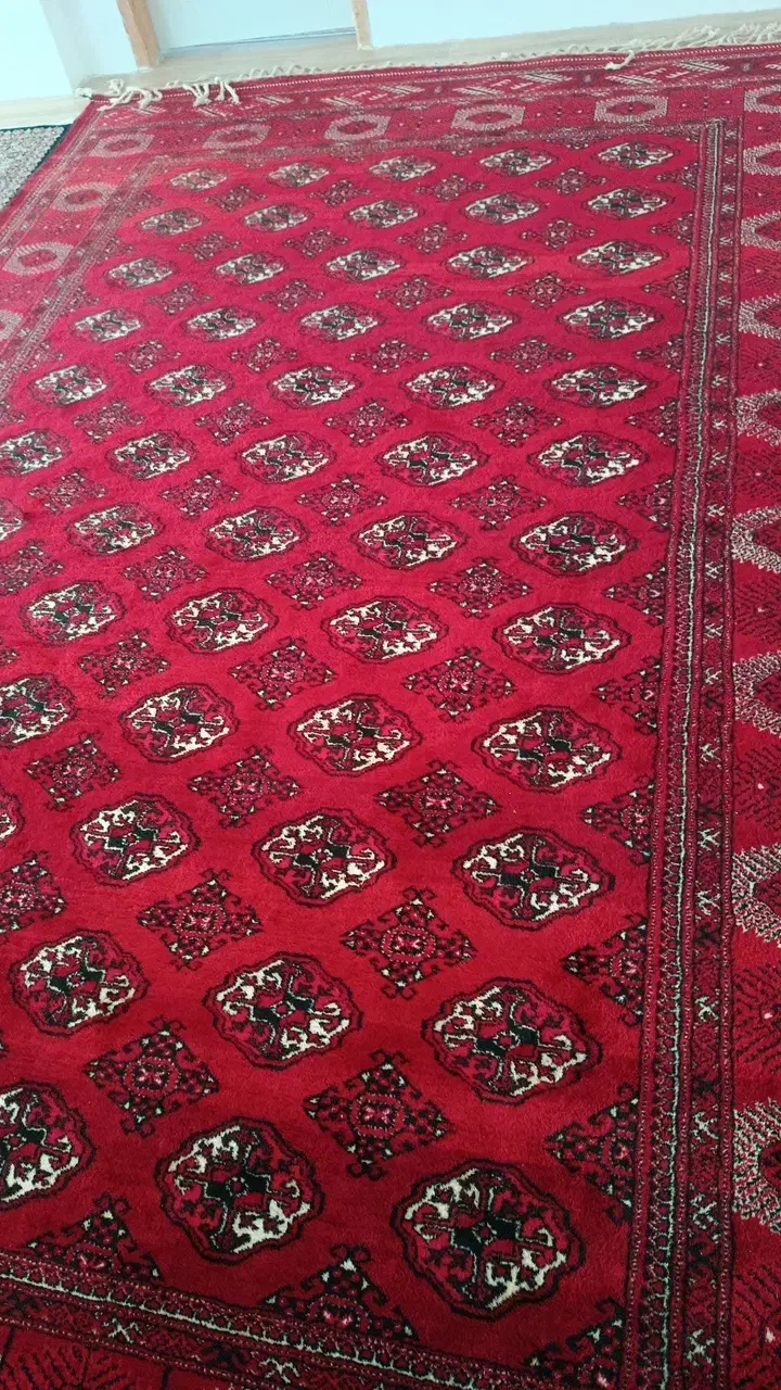 فرش ترکمنی|فرش|سیمین شهر, |دیوار