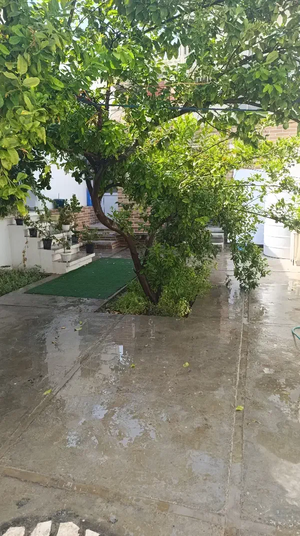 اجاره کوتاه مدت سوئت ویلایی|اجارهٔ کوتاهمدت آپارتمان و سوئیت|بوشهر, |دیوار