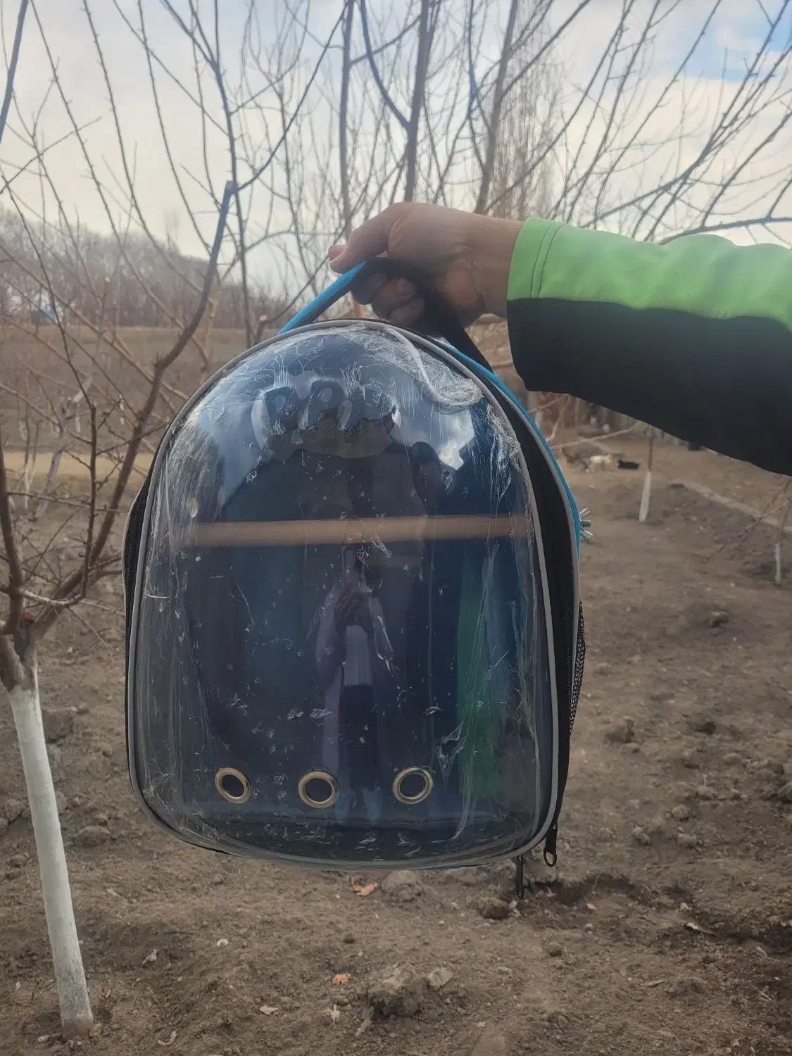 کیف حمل پرنده|لوازم جانبی حیوانات|تهران, چیتگر شمالی|دیوار