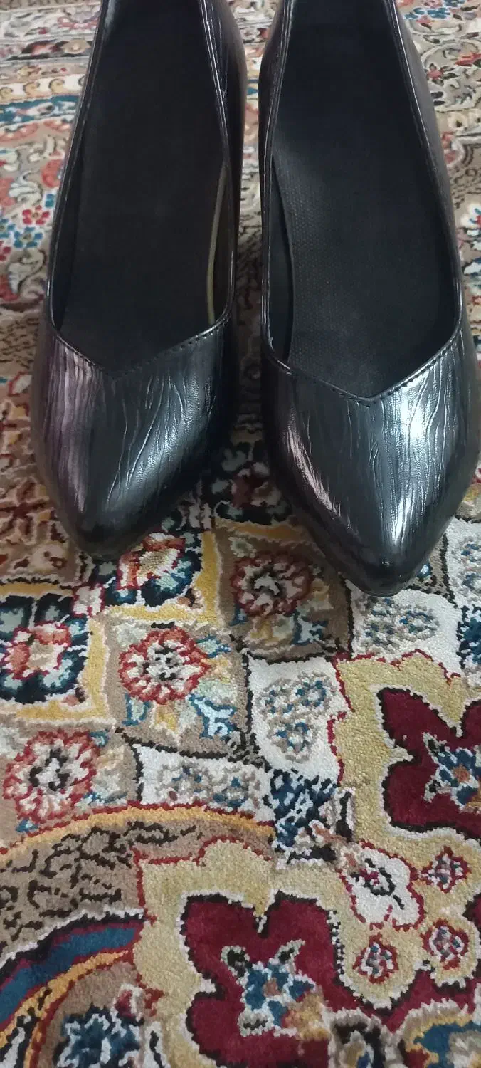 کفش|کیف، کفش، کمربند|اسلام‌شهر, شهرک الهیه|دیوار