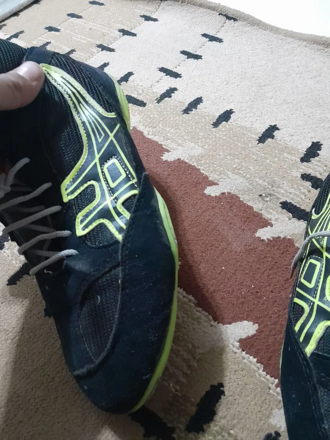 کفش کشتی|کیف، کفش، کمربند|شاهین‌شهر, شهرک گلدیس|دیوار