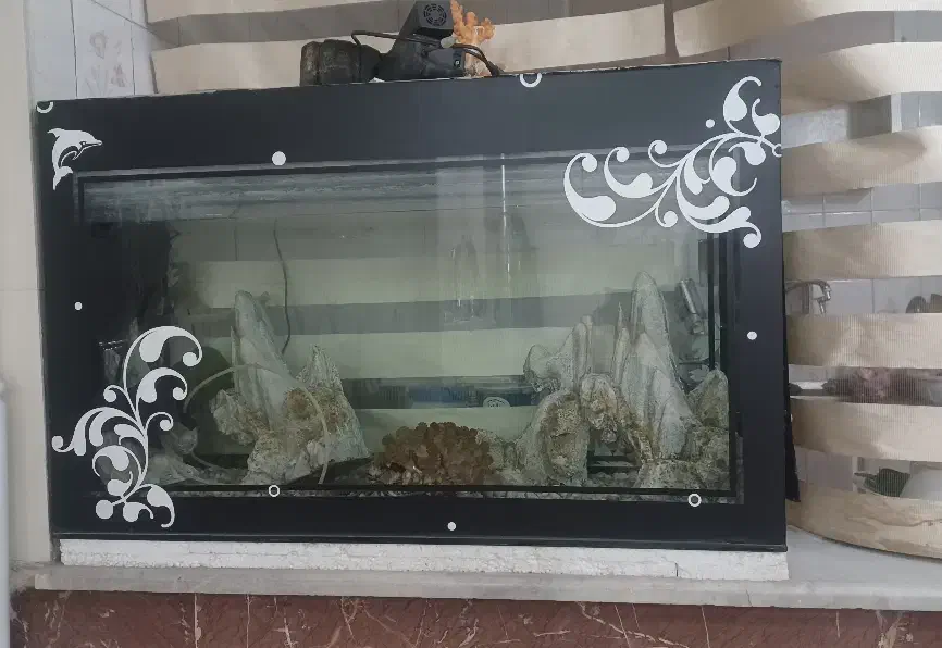آکواریوم با تمام دکوری جات و ی عدد لجن خوار بزرگ|ماهی|ری, حمزه‌آباد|دیوار