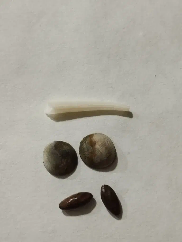 سنگ اصلی تضمینی مهره اصل|جواهرات|شیراز, نصر|دیوار