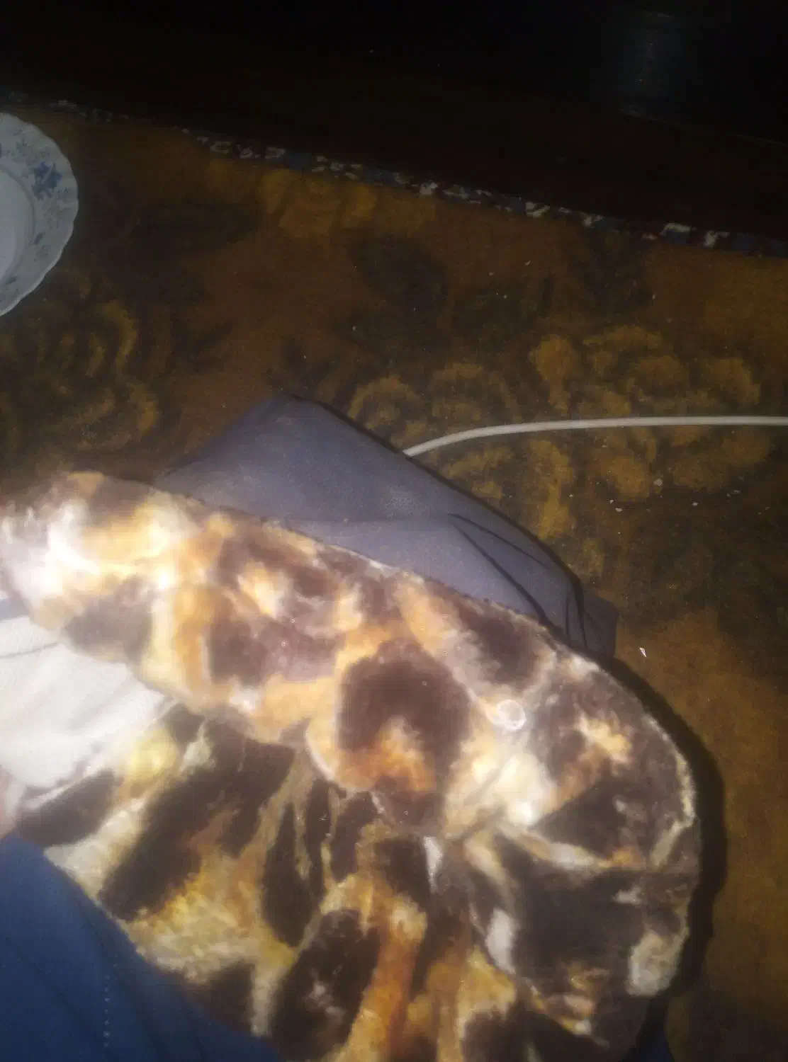 طلاق موتور سیکلت|موتورسیکلت|ارومیه, |دیوار