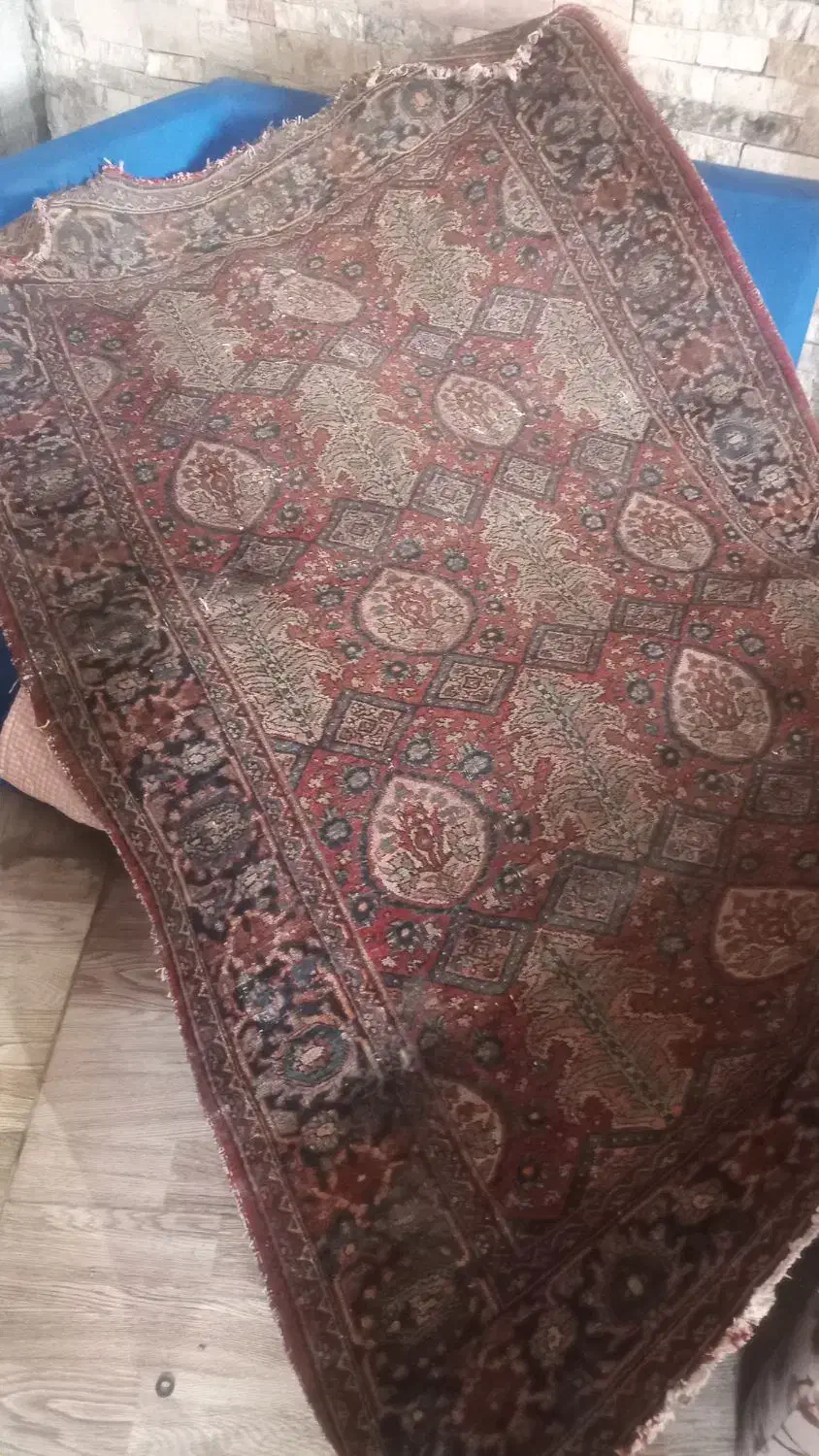 فرش دست بافت|فرش|رشت, استقامت ۲|دیوار