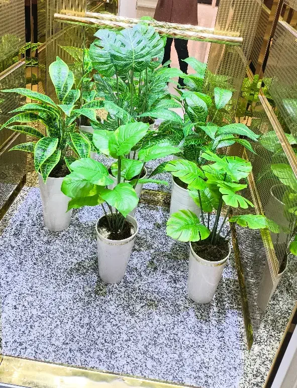 گیاه مصنوعی|گل مصنوعی|رباط‌کریم, رباط‌کریم|دیوار