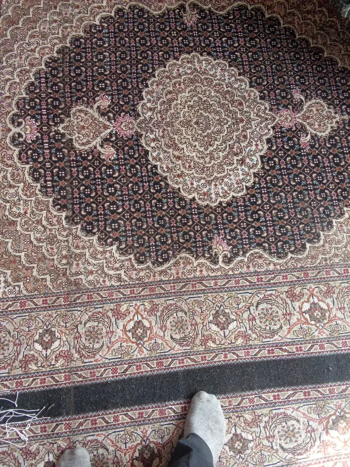 فرش دستباف جفت قالیچه|فرش|ارومیه, |دیوار