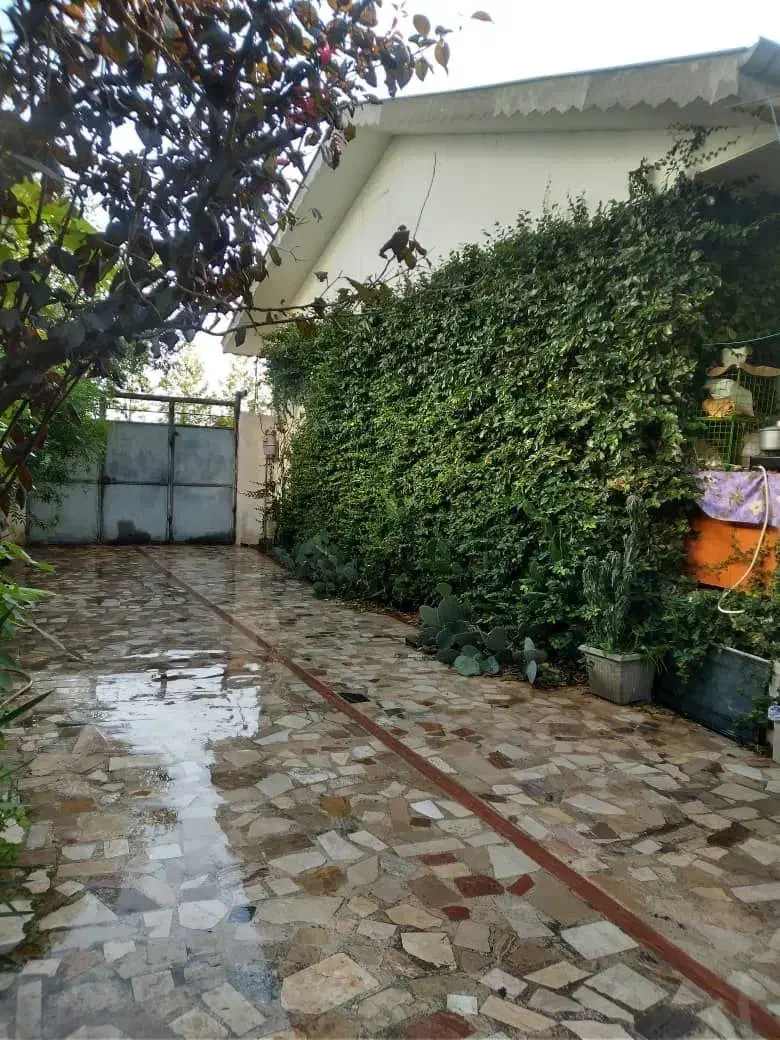 فروش ویلا مسکونی دارای سند تک برگ|فروش خانه و ویلا|رشت, حومه رشت|دیوار