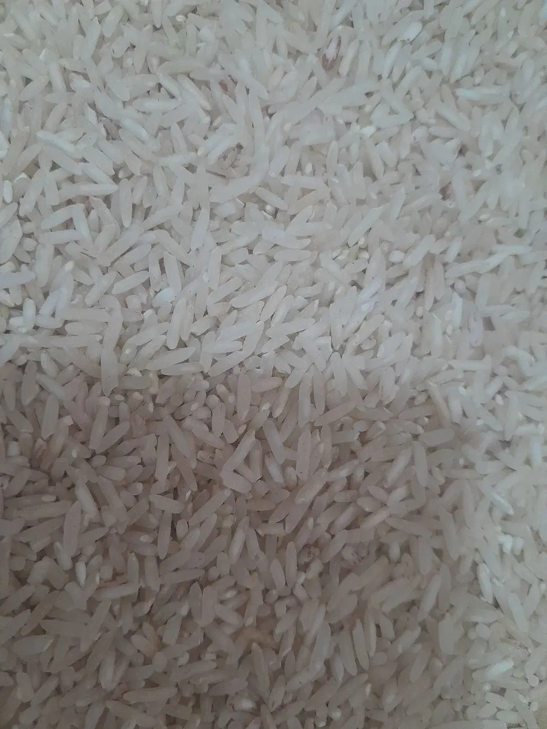 برنج هاشمی درجه یک|خوردنی و آشامیدنی|کارزان, |دیوار