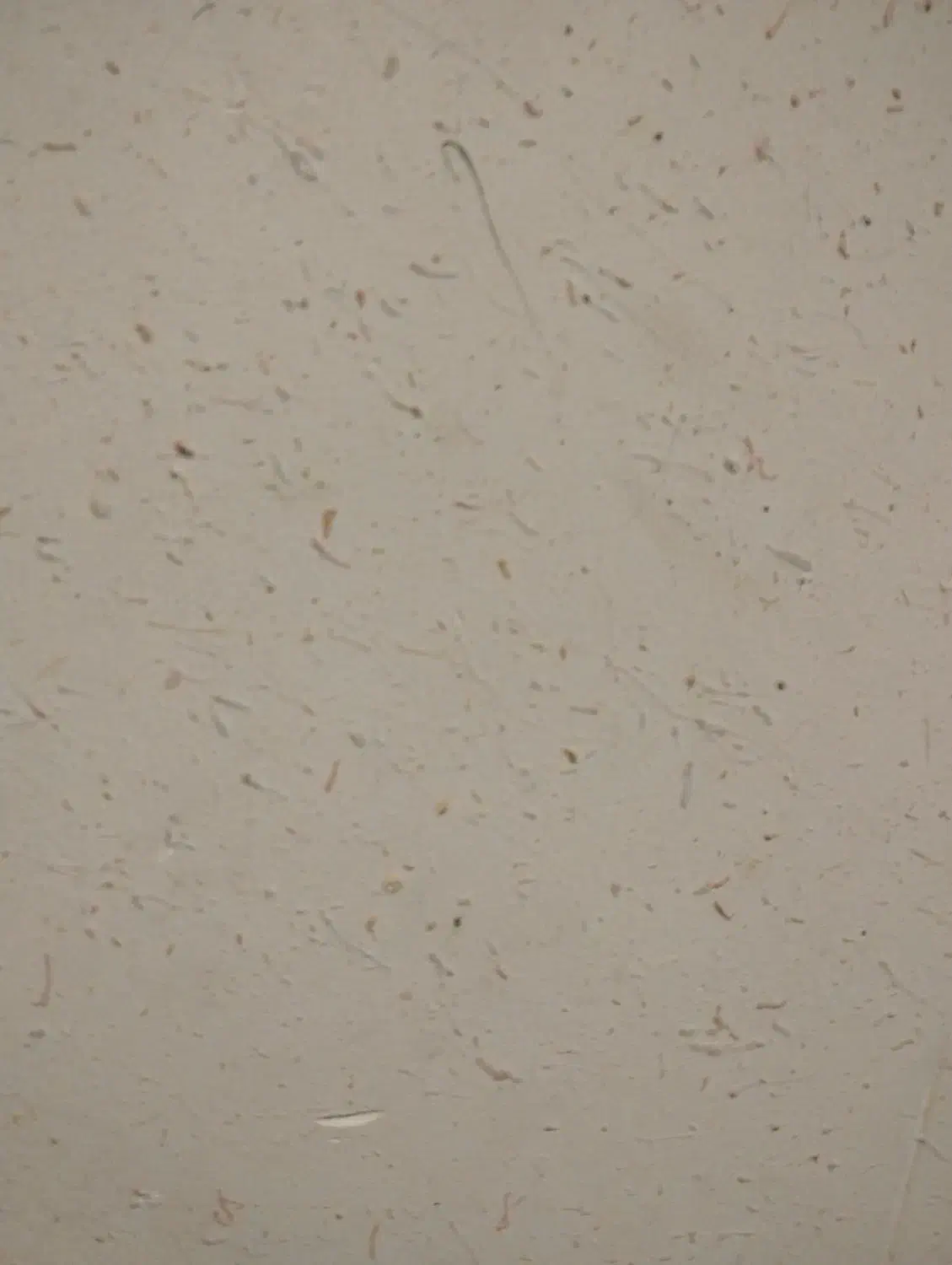 خانه ویلایی دوبلکس 90 متری کمپ بی|فروش خانه و ویلا|بندر امام خمینی, |دیوار