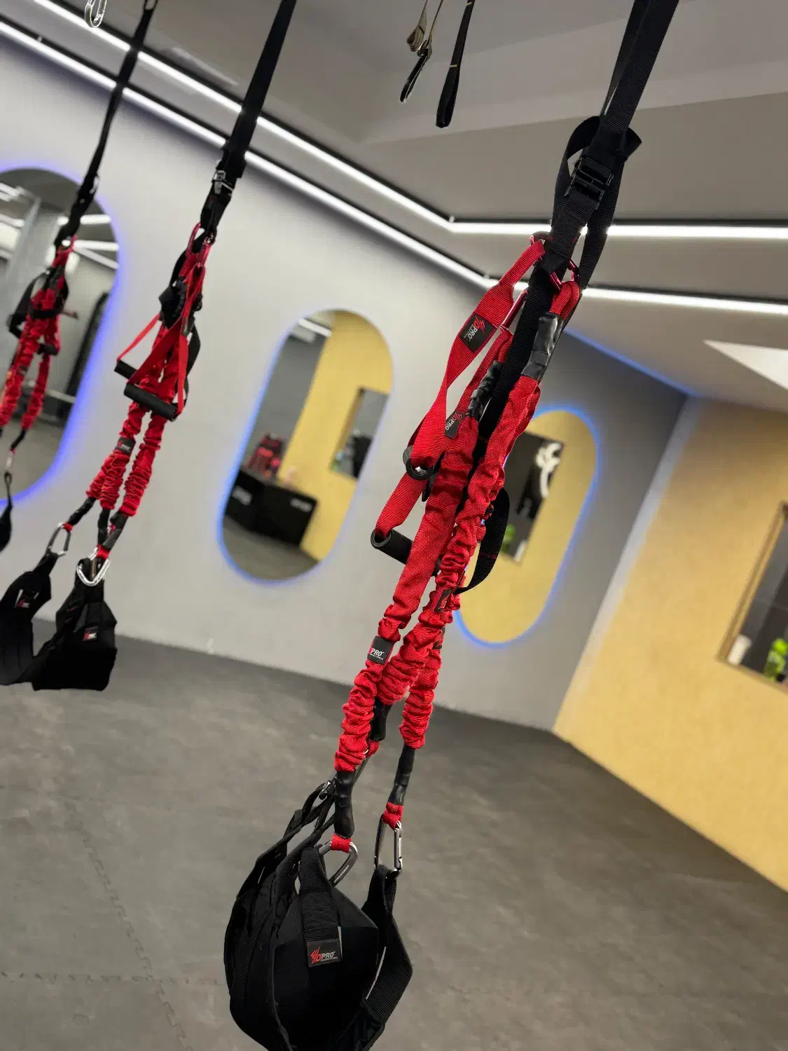 مربی باشگاه بانوان رشته ی فوردی پرو|استخدام آموزشی|شیراز, قدوسی شرقی|دیوار